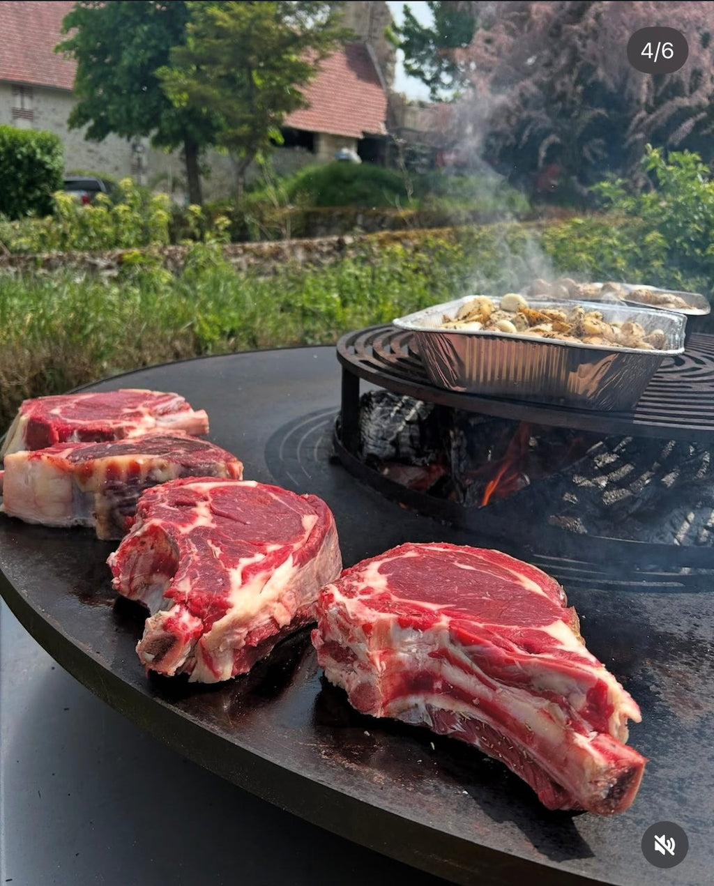 Brasero remorque professionnel